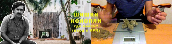 молекула духа Богданович