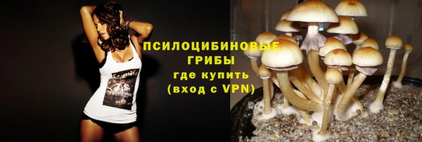 ALPHA PVP Богородск