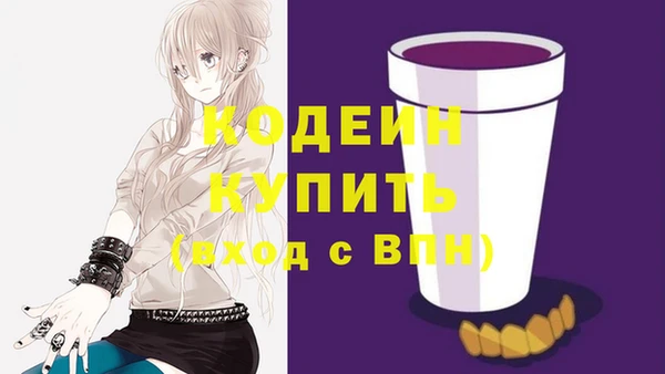 молекула духа Богданович