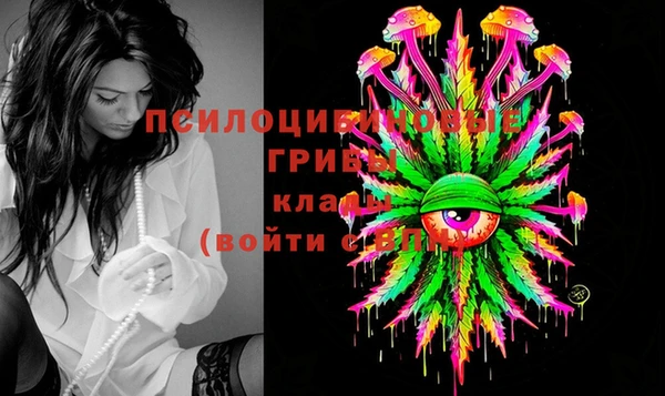 эйфоретик Струнино