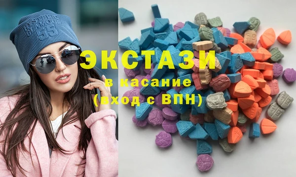 молекула духа Богданович