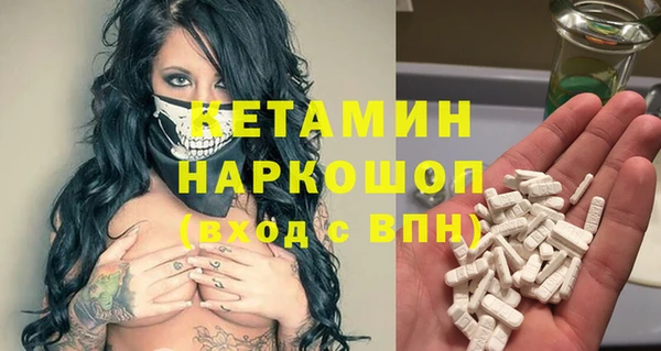 молекула духа Богданович