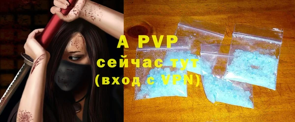 молекула духа Богданович