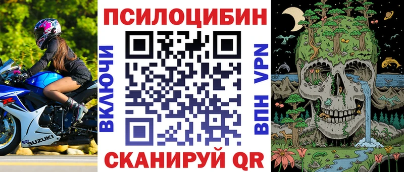Галлюциногенные грибы Cubensis  магазин    Гаврилов-Ям 